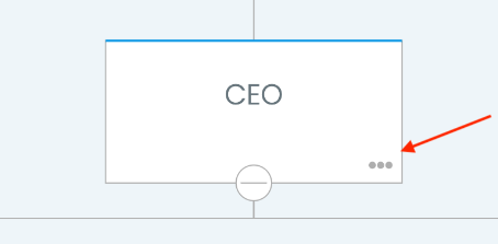 CEO Position